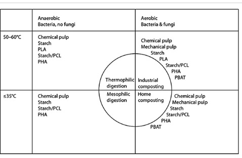 Biodegradable Plastics