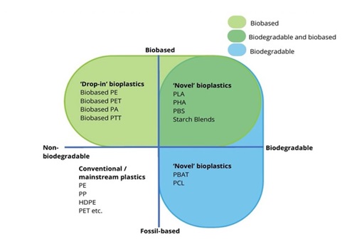 Biodegradable Plastics