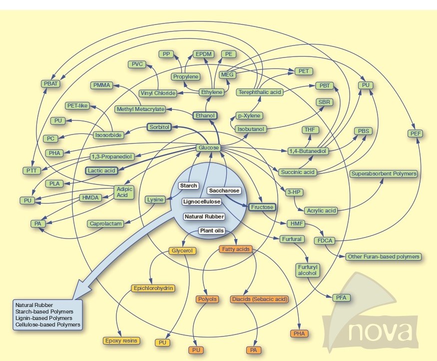 Biobased Chemicals, Polymers & Additives